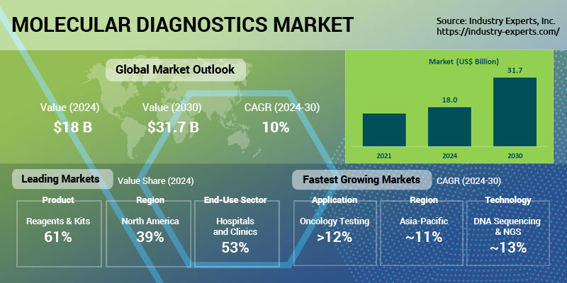 Global Molecular Diagnostics Market Size, Outlook 2024-2030