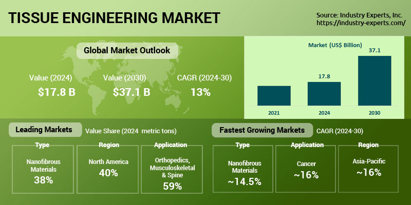 Tissue Engineering Market Size, Outlook 2024-2030