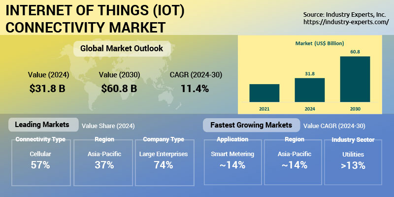 Internet of Things (IoT) Connectivity Market | Trends & Forecasts 2024-2030